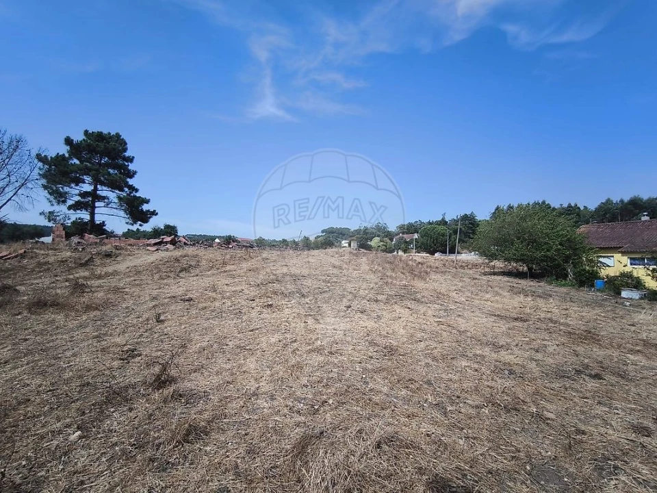 Moradia T2 para Venda em São João da Ribeira e Ribeira de São João Foto 24