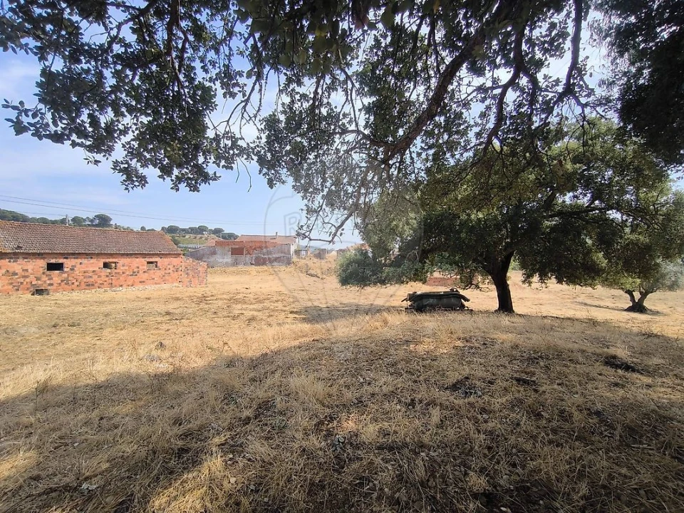 Moradia T2 para Venda em São João da Ribeira e Ribeira de São João Foto 41