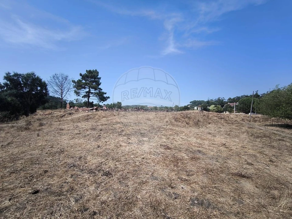 Moradia T2 para Venda em São João da Ribeira e Ribeira de São João Foto 20