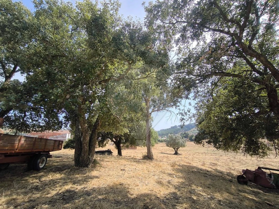 Moradia T2 para Venda em São João da Ribeira e Ribeira de São João Foto 40