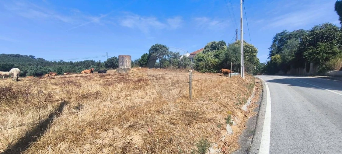 Moradia T2 para Venda em São João da Ribeira e Ribeira de São João Foto 6