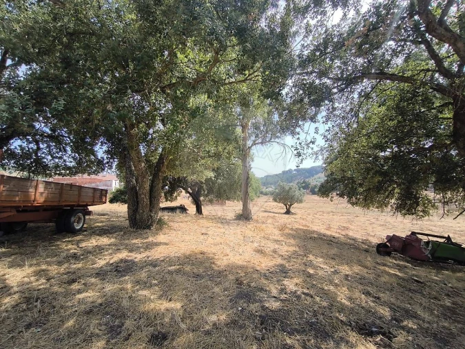 Moradia T2 para Venda em São João da Ribeira e Ribeira de São João Foto 30