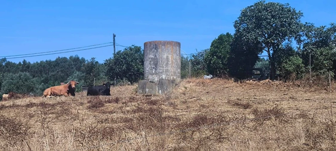 Moradia T2 para Venda em São João da Ribeira e Ribeira de São João Foto 5