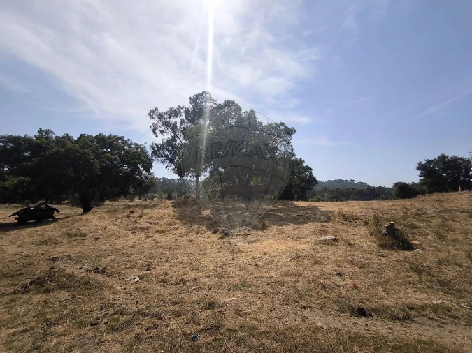 Moradia T2 para Venda em São João da Ribeira e Ribeira de São João Foto 26