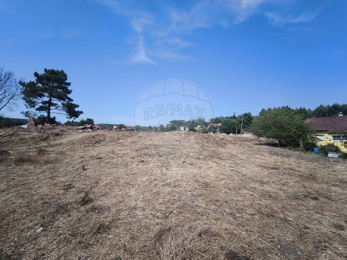 Moradia T2 para Venda em São João da Ribeira e Ribeira de São João Foto 24