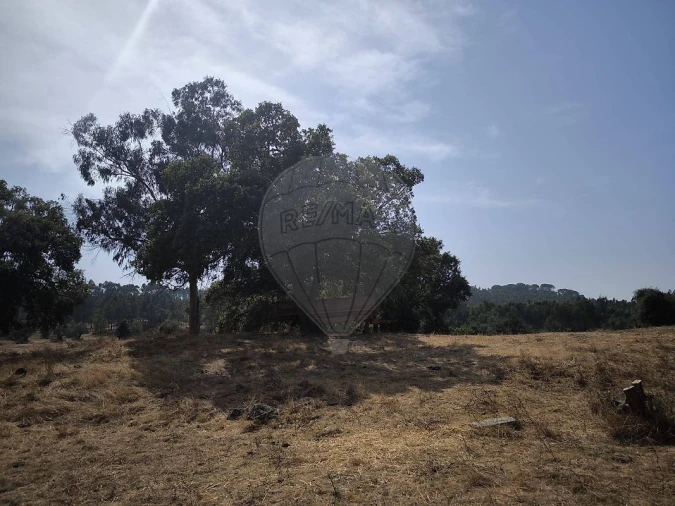 Moradia T2 para Venda em São João da Ribeira e Ribeira de São João Foto 19