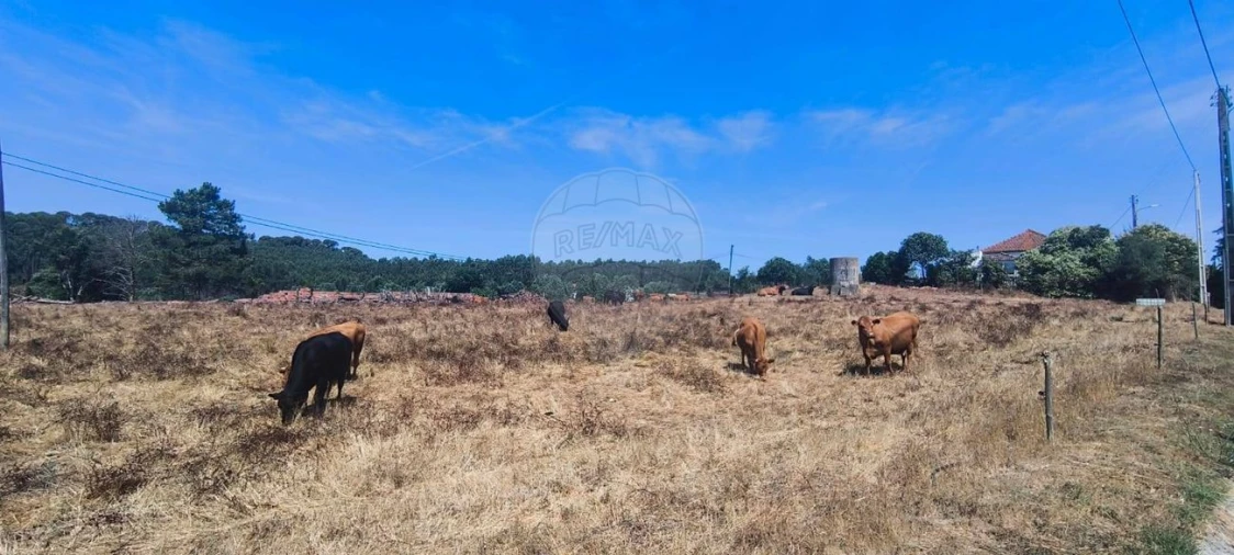 Moradia T2 para Venda em São João da Ribeira e Ribeira de São João Foto 8