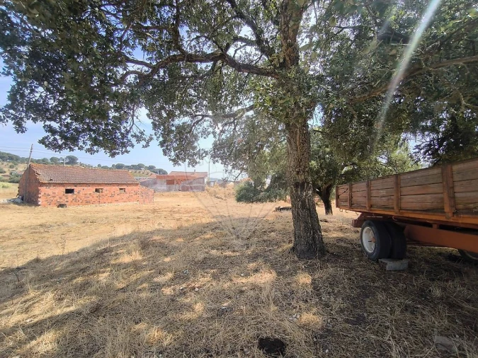 Moradia T2 para Venda em São João da Ribeira e Ribeira de São João Foto 38