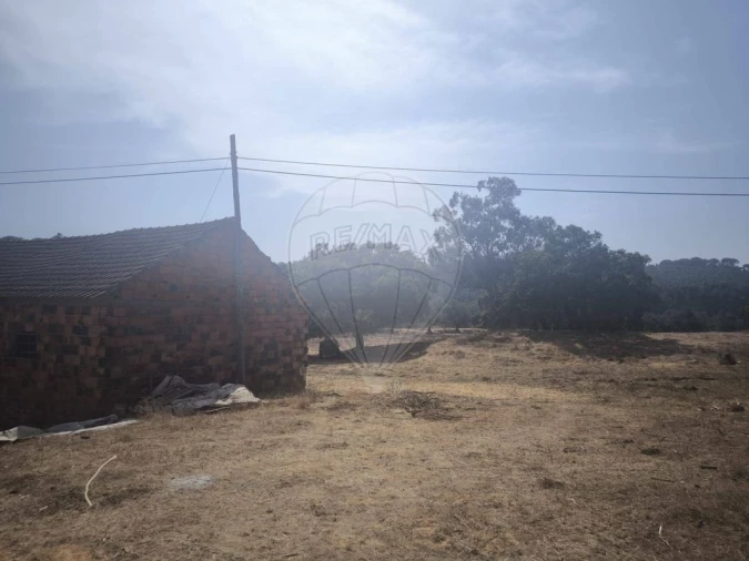 Moradia T2 para Venda em São João da Ribeira e Ribeira de São João Foto 45