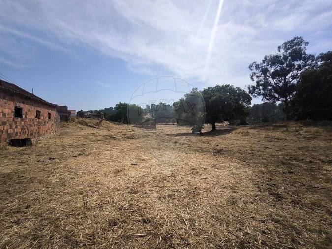Moradia T2 para Venda em São João da Ribeira e Ribeira de São João Foto 31
