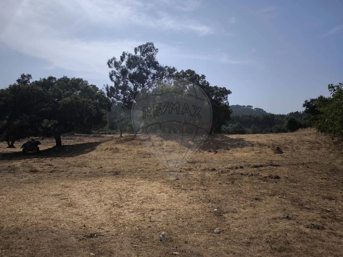 Moradia T2 para Venda em São João da Ribeira e Ribeira de São João Foto 33