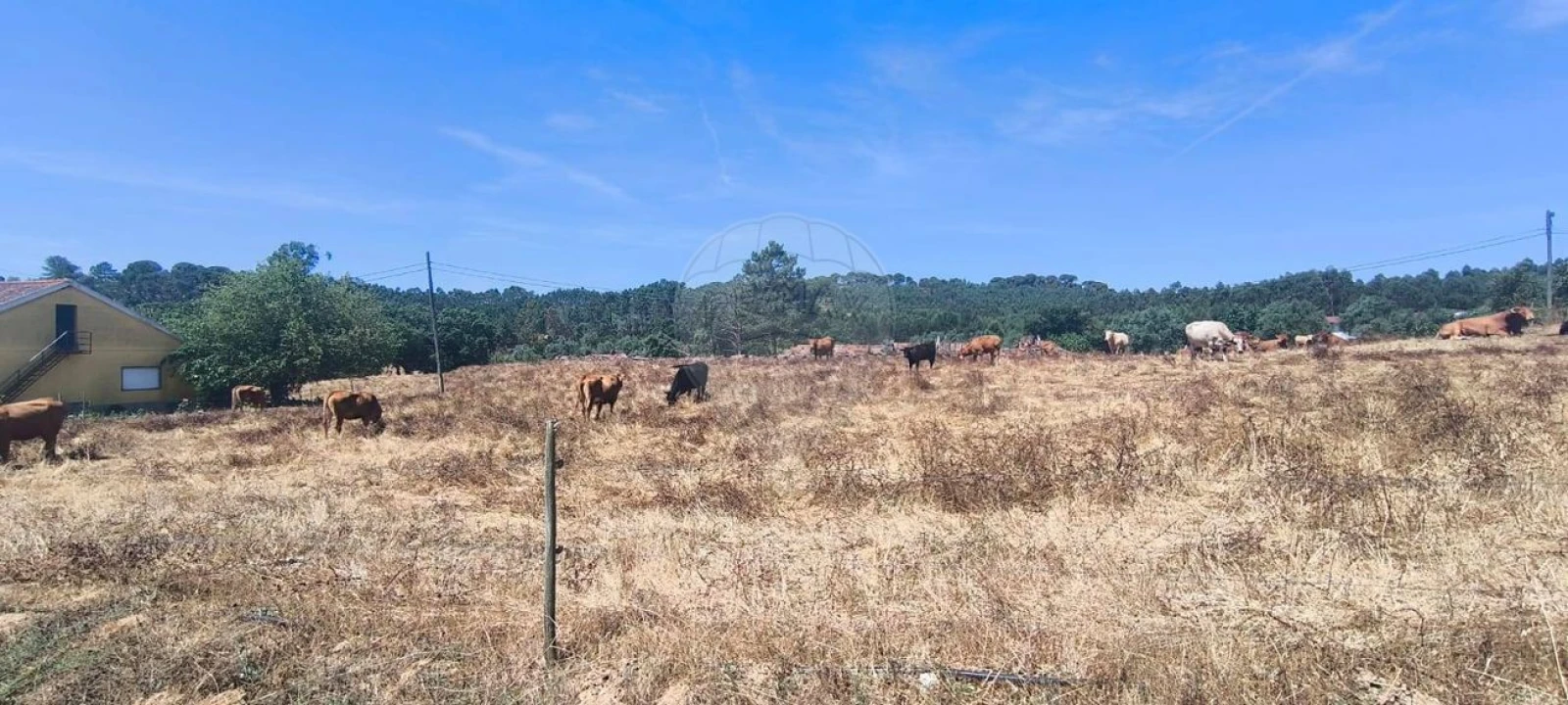 Moradia T2 para Venda em São João da Ribeira e Ribeira de São João Foto 7