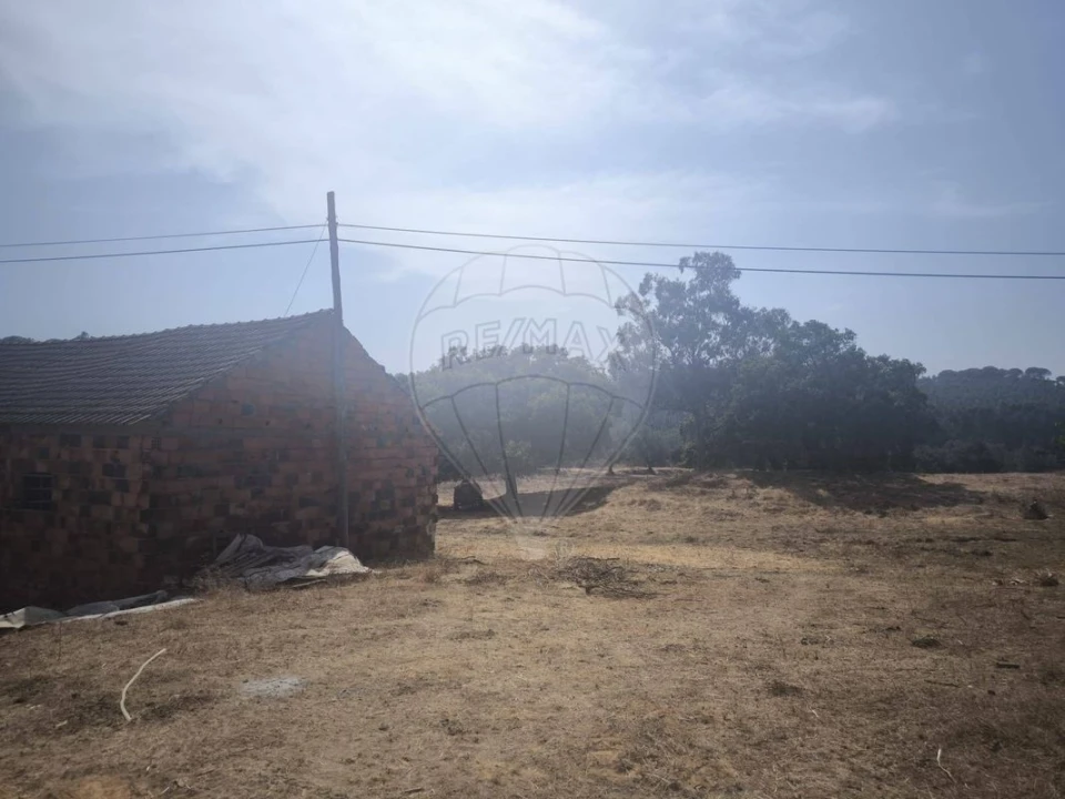 Moradia T2 para Venda em São João da Ribeira e Ribeira de São João Foto 45