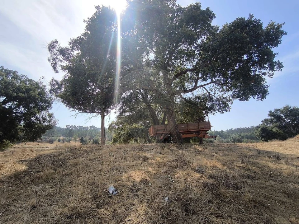 Moradia T2 para Venda em São João da Ribeira e Ribeira de São João Foto 25