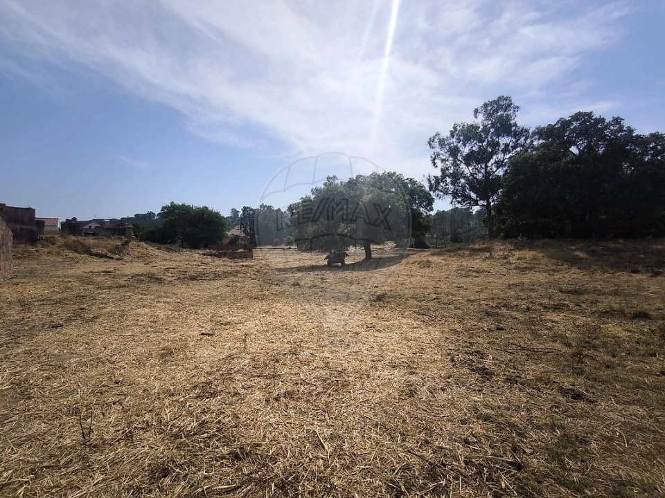 Moradia T2 para Venda em São João da Ribeira e Ribeira de São João Foto 39