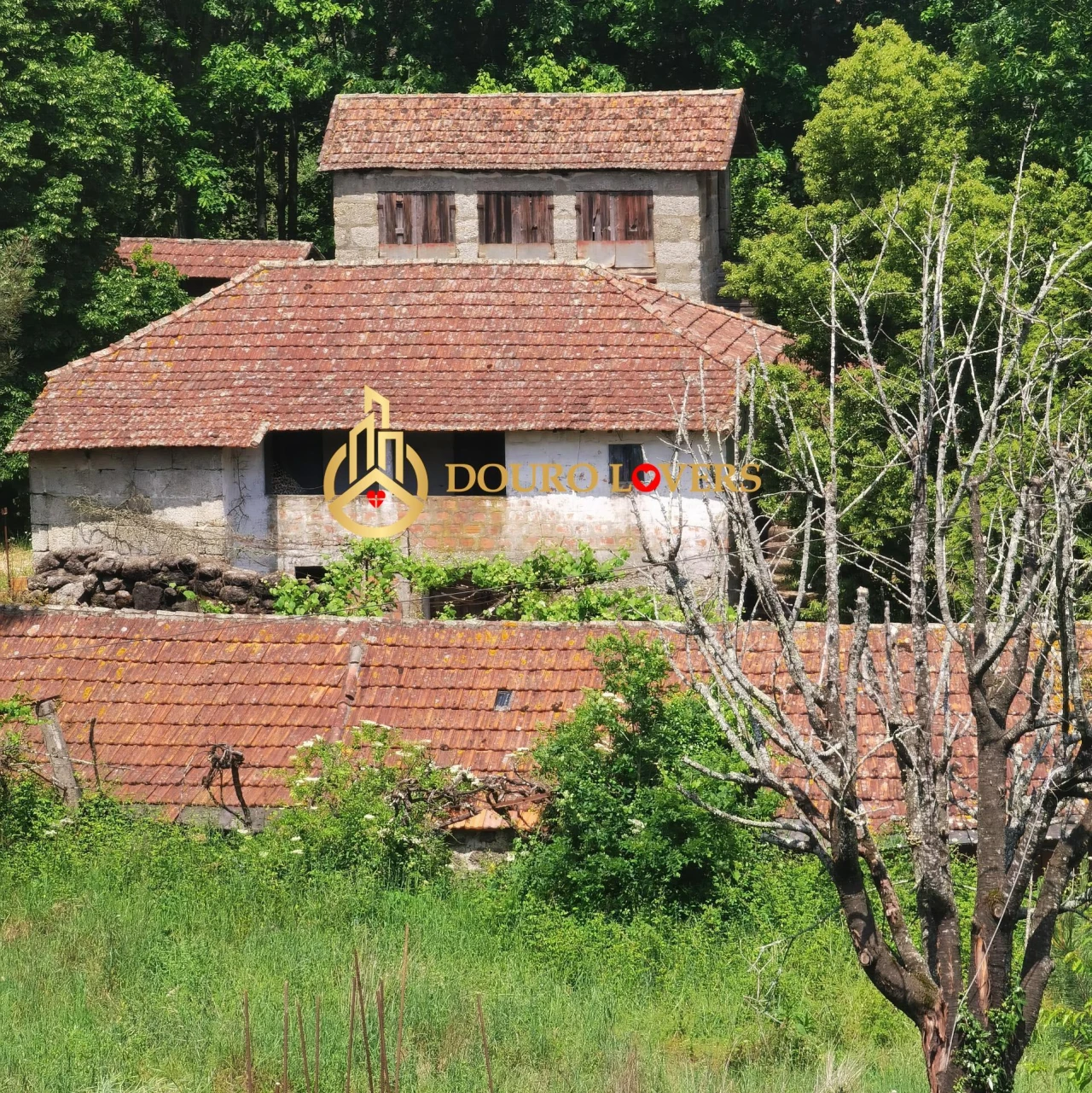 Moradia T2 para Venda em Cete Foto 2