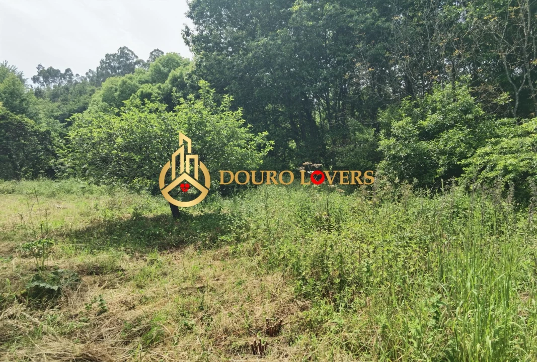 Moradia T2 para Venda em Cete Foto 39