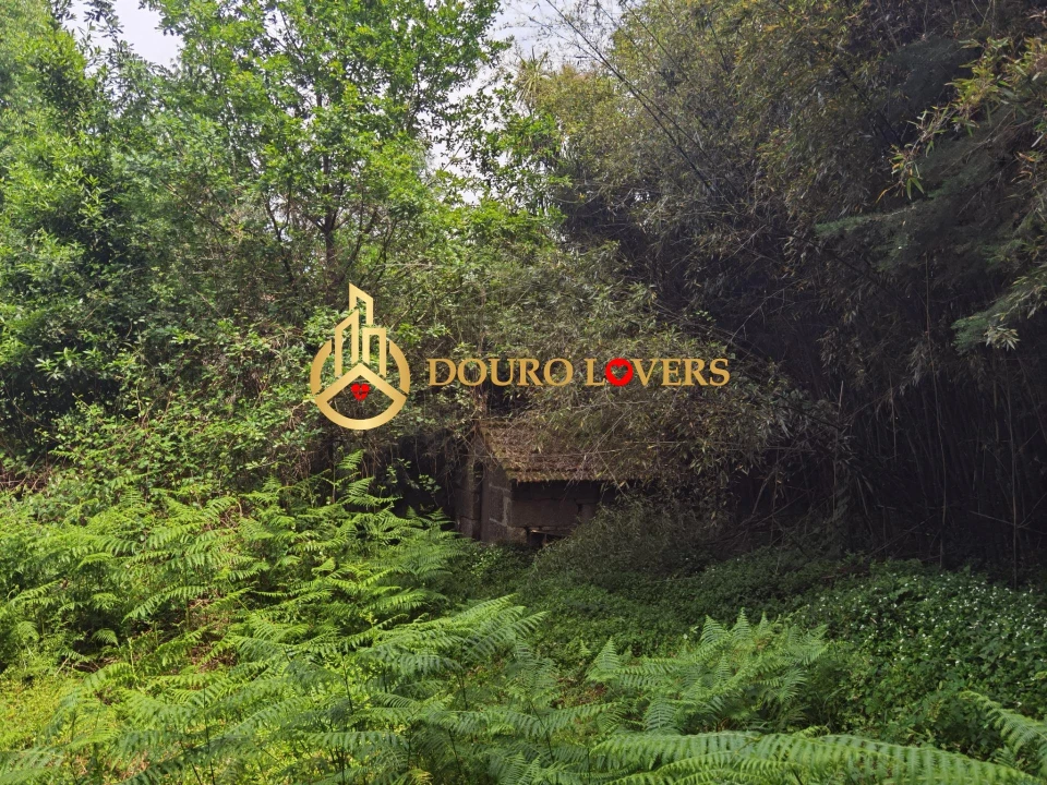 Moradia T2 para Venda em Cete Foto 44