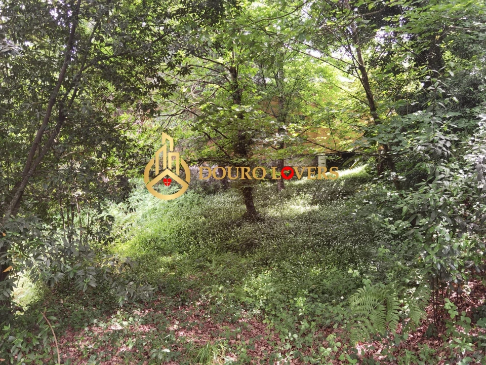 Moradia T2 para Venda em Cete Foto 45