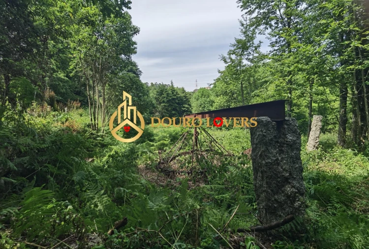 Moradia T2 para Venda em Cete Foto 47