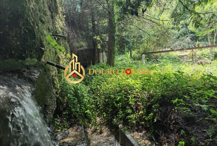 Moradia T2 para Venda em Cete Foto 49