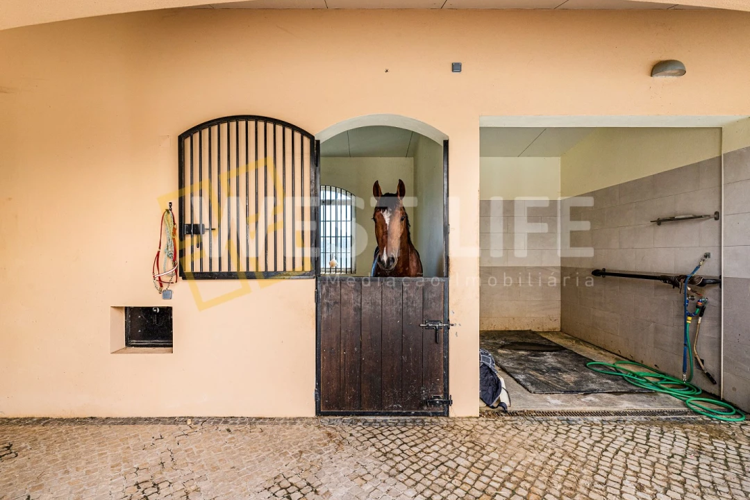 Quinta T7 para Venda em Mafra Foto 30
