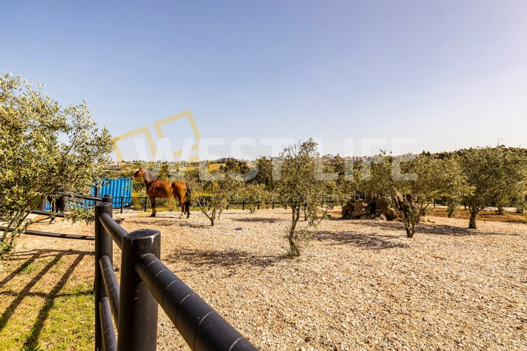 Quinta T7 para Venda em Mafra Foto 32