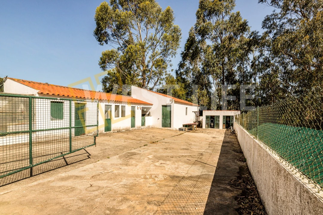 Quinta T7 para Venda em Mafra Foto 34