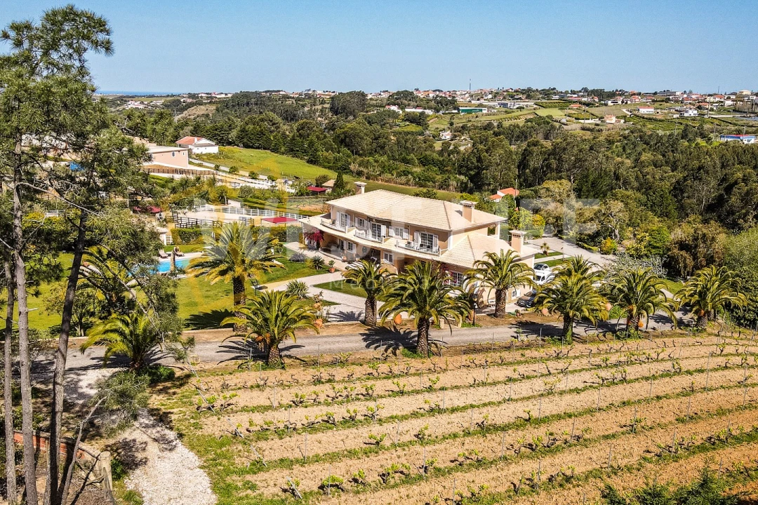 Quinta T7 para Venda em Mafra Foto 44