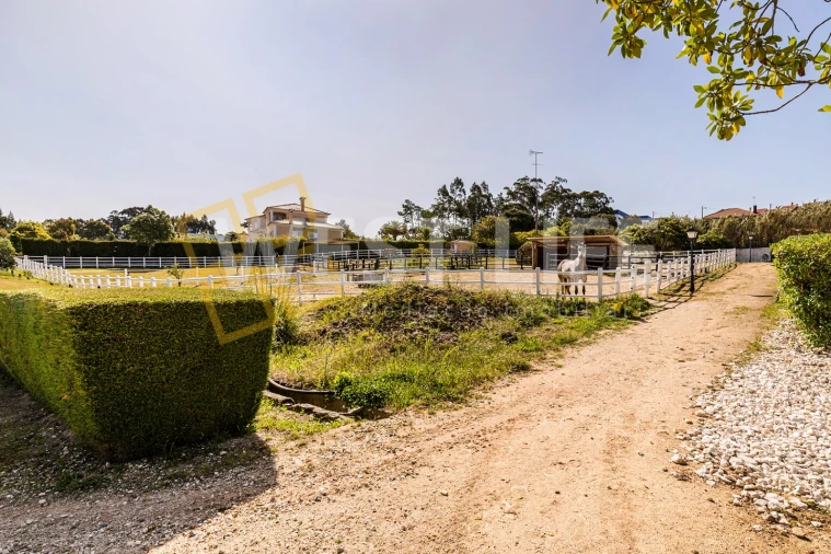 Quinta T7 para Venda em Mafra Foto 33