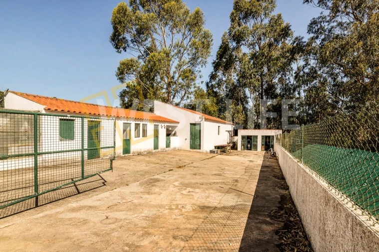 Quinta T7 para Venda em Mafra Foto 34