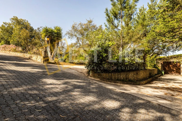 Quinta T7 para Venda em Mafra Foto 41