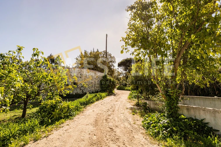 Quinta T7 para Venda em Mafra Foto 42