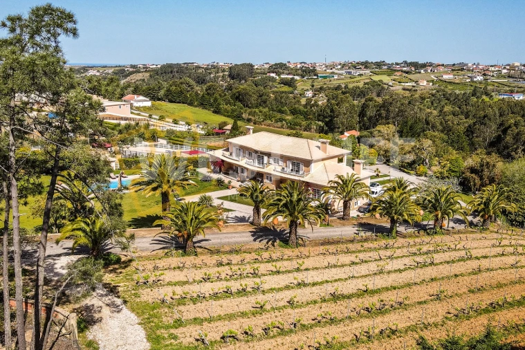 Quinta T7 para Venda em Mafra Foto 44