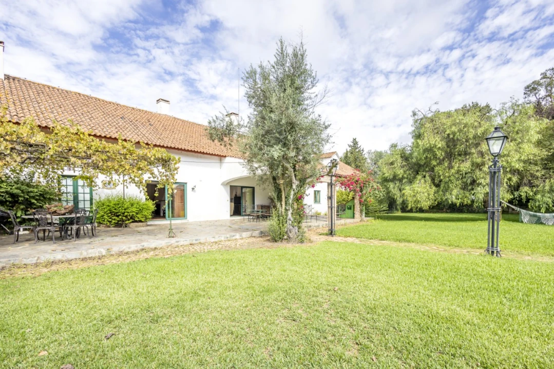 Moradia T11 para Venda em Estremoz (Santa Maria e Santo André) Foto 11