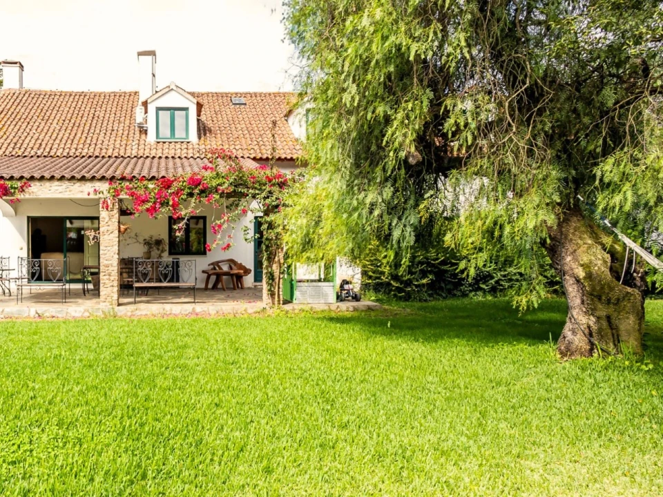 Moradia T11 para Venda em Estremoz (Santa Maria e Santo André) Foto 1