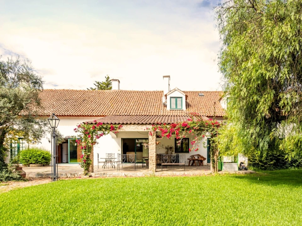 Moradia T11 para Venda em Estremoz (Santa Maria e Santo André) Foto 14