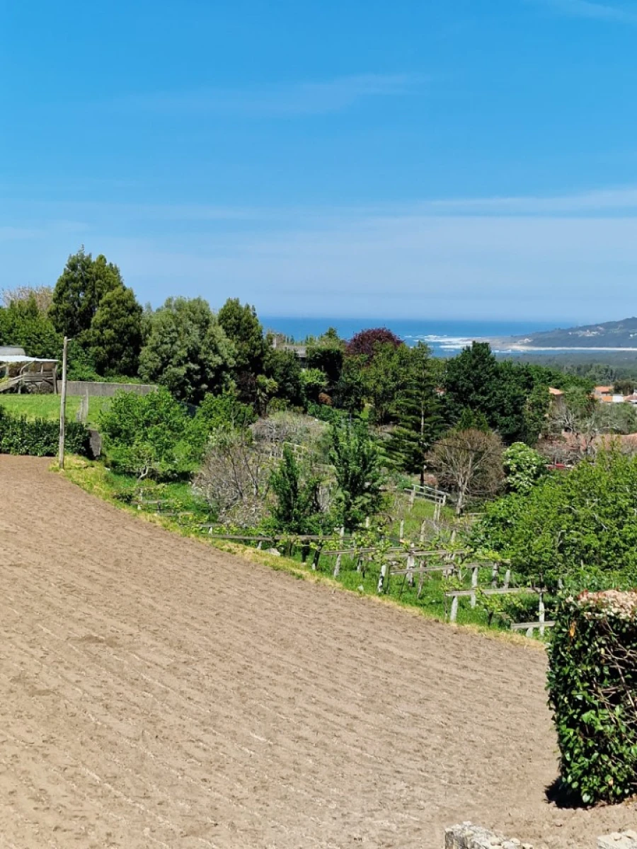 Terreno para Venda em Moledo e Cristelo Foto 4