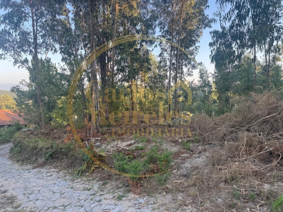 Terreno para Venda em Pico de Regalados, Gondiães e Mós Foto 1