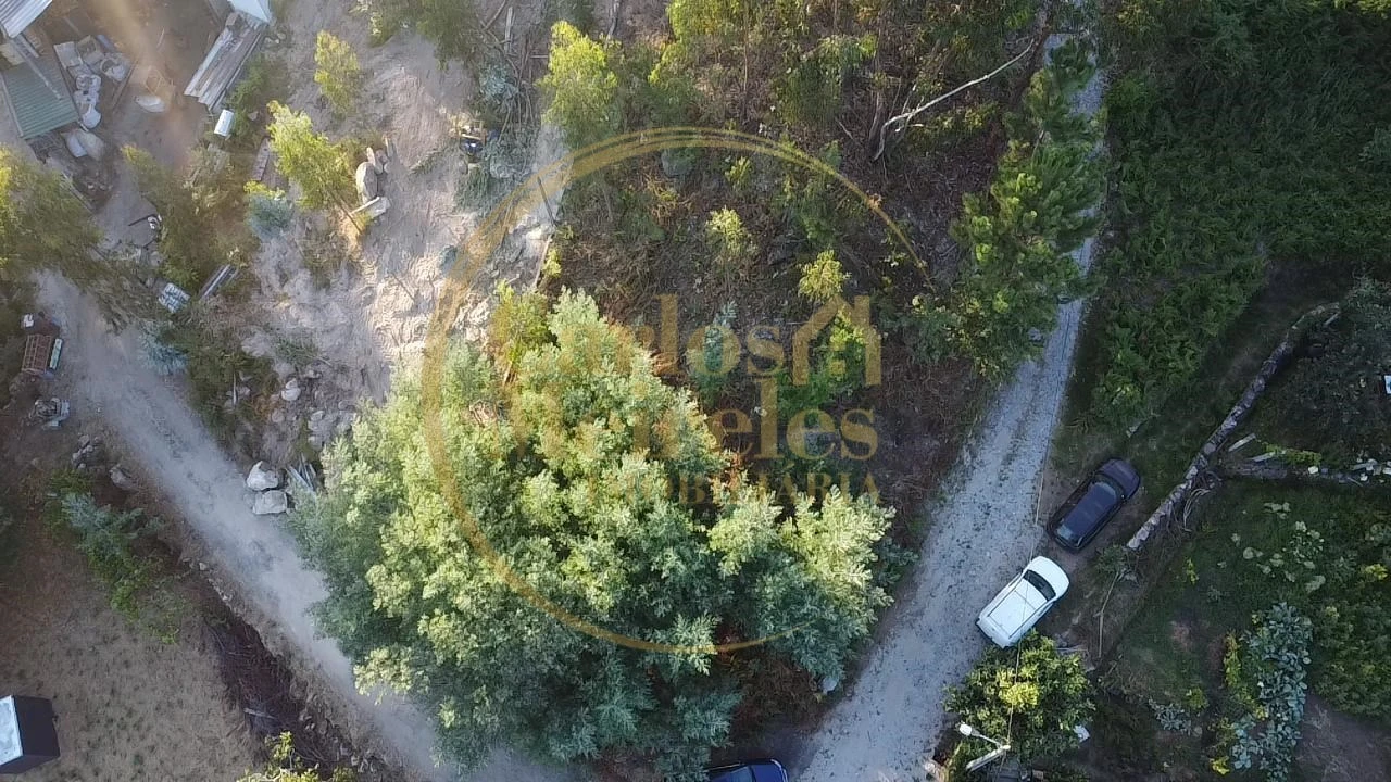Terreno para Venda em Pico de Regalados, Gondiães e Mós Foto 4