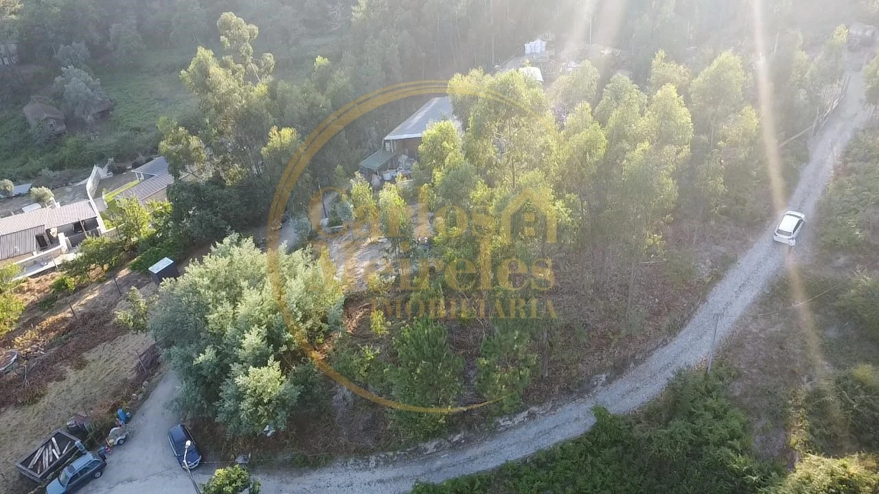 Terreno para Venda em Pico de Regalados, Gondiães e Mós Foto 6