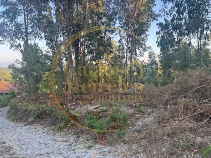 Terreno para Venda em Pico de Regalados, Gondiães e Mós