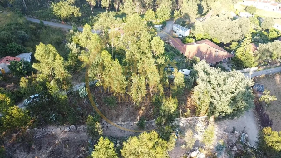 Terreno para Venda em Pico de Regalados, Gondiães e Mós Foto 2