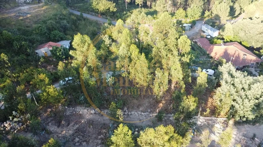 Terreno para Venda em Pico de Regalados, Gondiães e Mós Foto 3