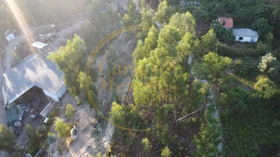 Terreno para Venda em Pico de Regalados, Gondiães e Mós Foto 5