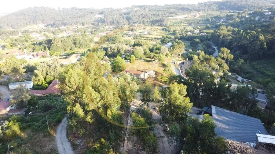 Terreno para Venda em Pico de Regalados, Gondiães e Mós Foto 7