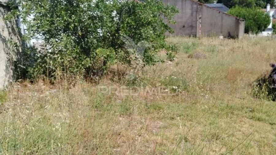 Terreno para Venda em Reguengo e São Julião