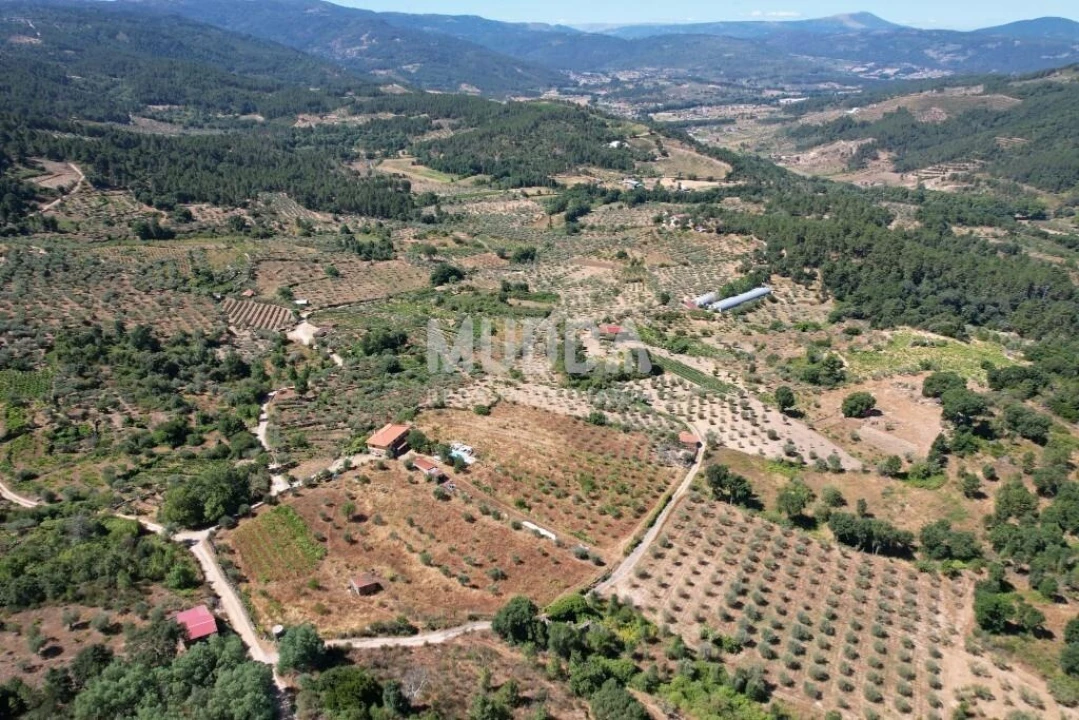 Terreno para Venda em Moreiras Foto 21