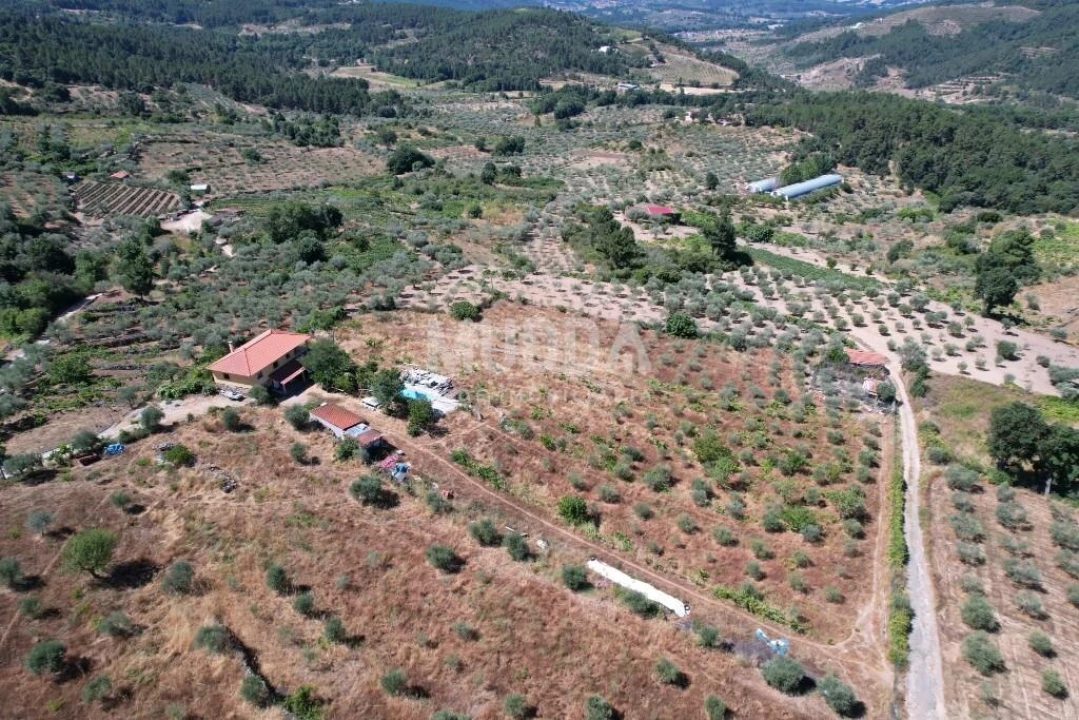 Terreno para Venda em Moreiras Foto 20