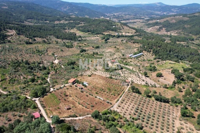 Terreno para Venda em Moreiras Foto 21